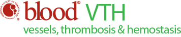 Blood VTH Logo