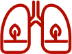 An icon of lungs