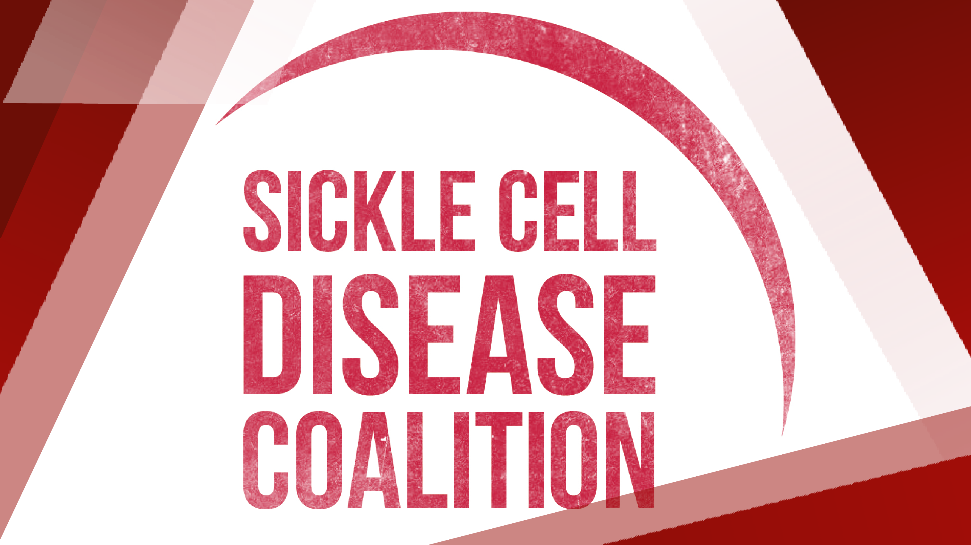 2023 ASH Annual Report_Card_templateBuildYourOwnSCDBinder_Webinar_Series_783x440_1