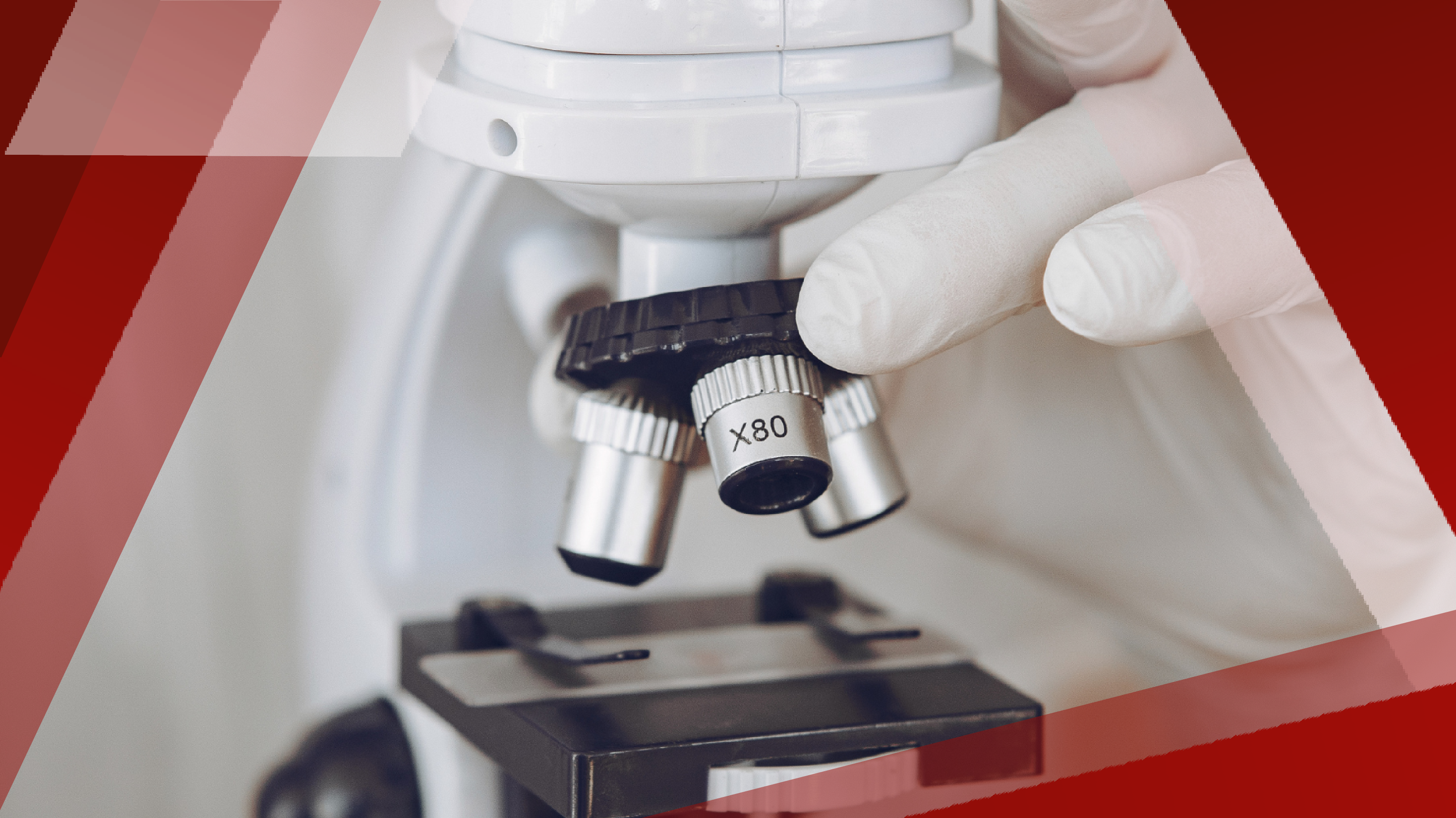 2023 ASH Annual Report_Card_templateSCDActionPlan_Webinar_Series_783x440_1