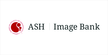 ASH_Image_Bank350x180-100