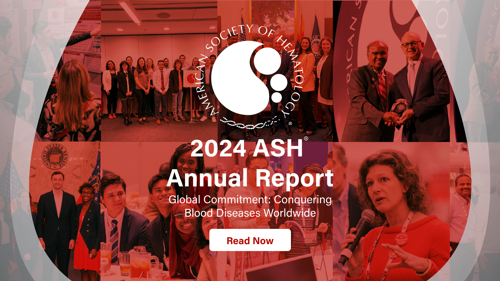 2024 Annual Report Banner