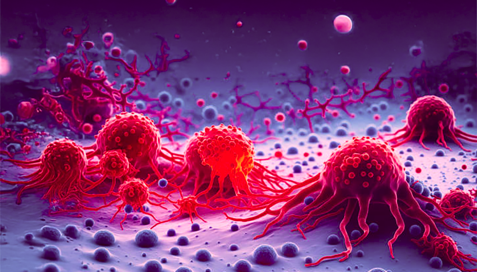 A photo of red jelly like virus to depict bleeding disorder
