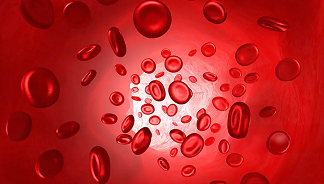 Graphic of Red Blood Cells in the bloodstream.