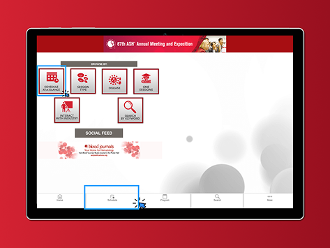 Screenshot of web version of the 2025 annual meeting app
