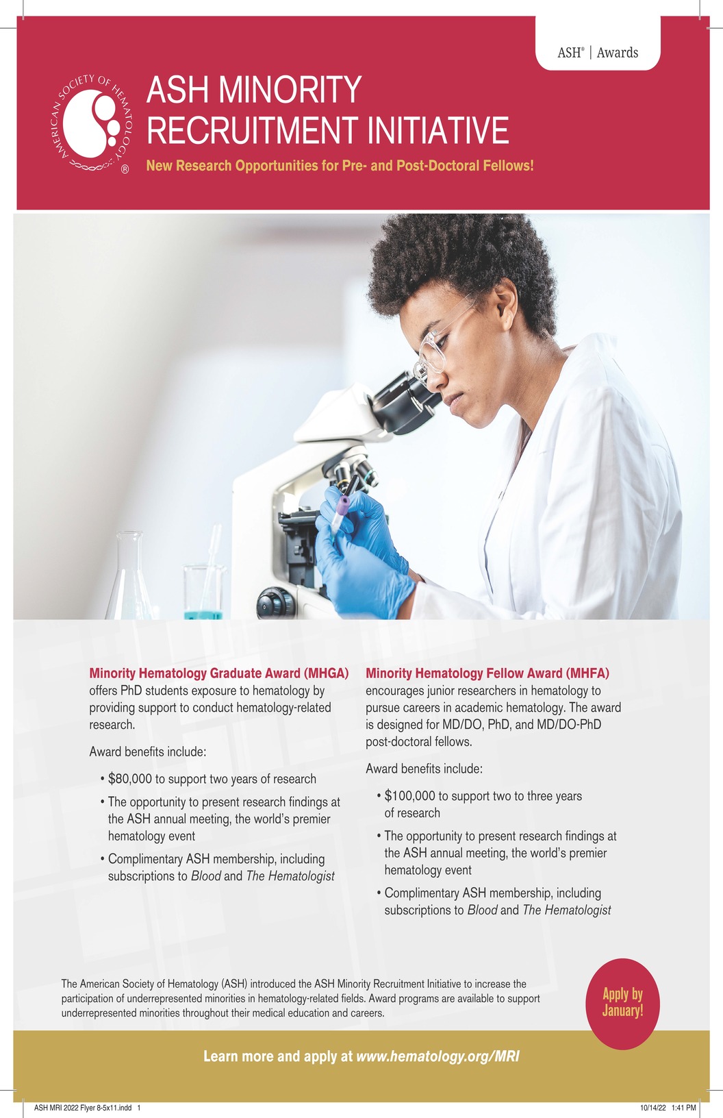 ASH Minority Hematology Fellow Award