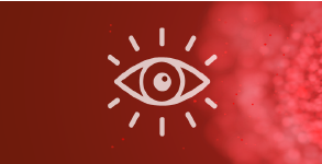 Vision Services Image Red