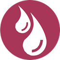 VWD Circle Logo