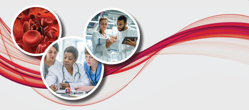 red and white mebership guide banner