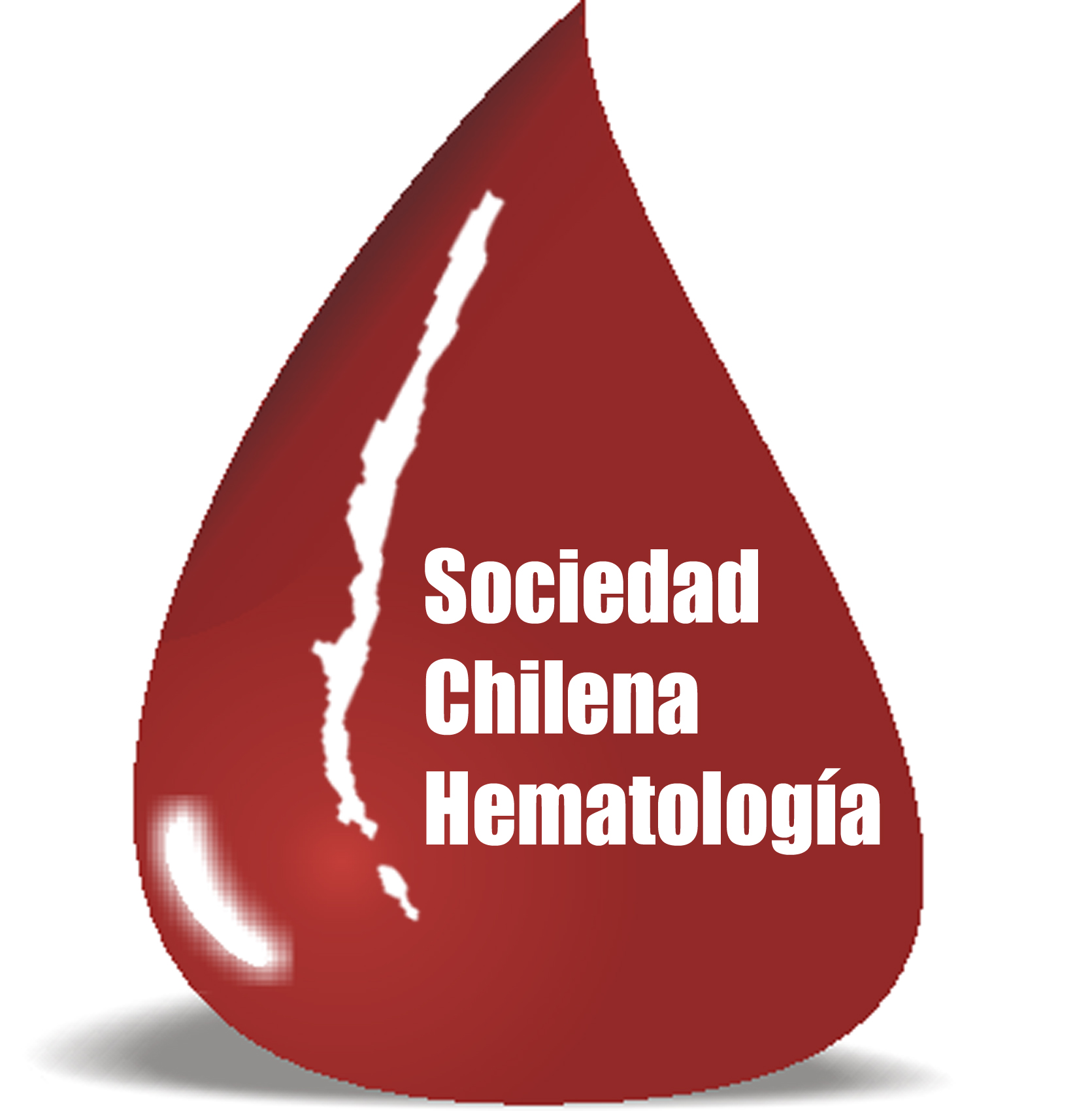 Sociedad Chilena de Hematología