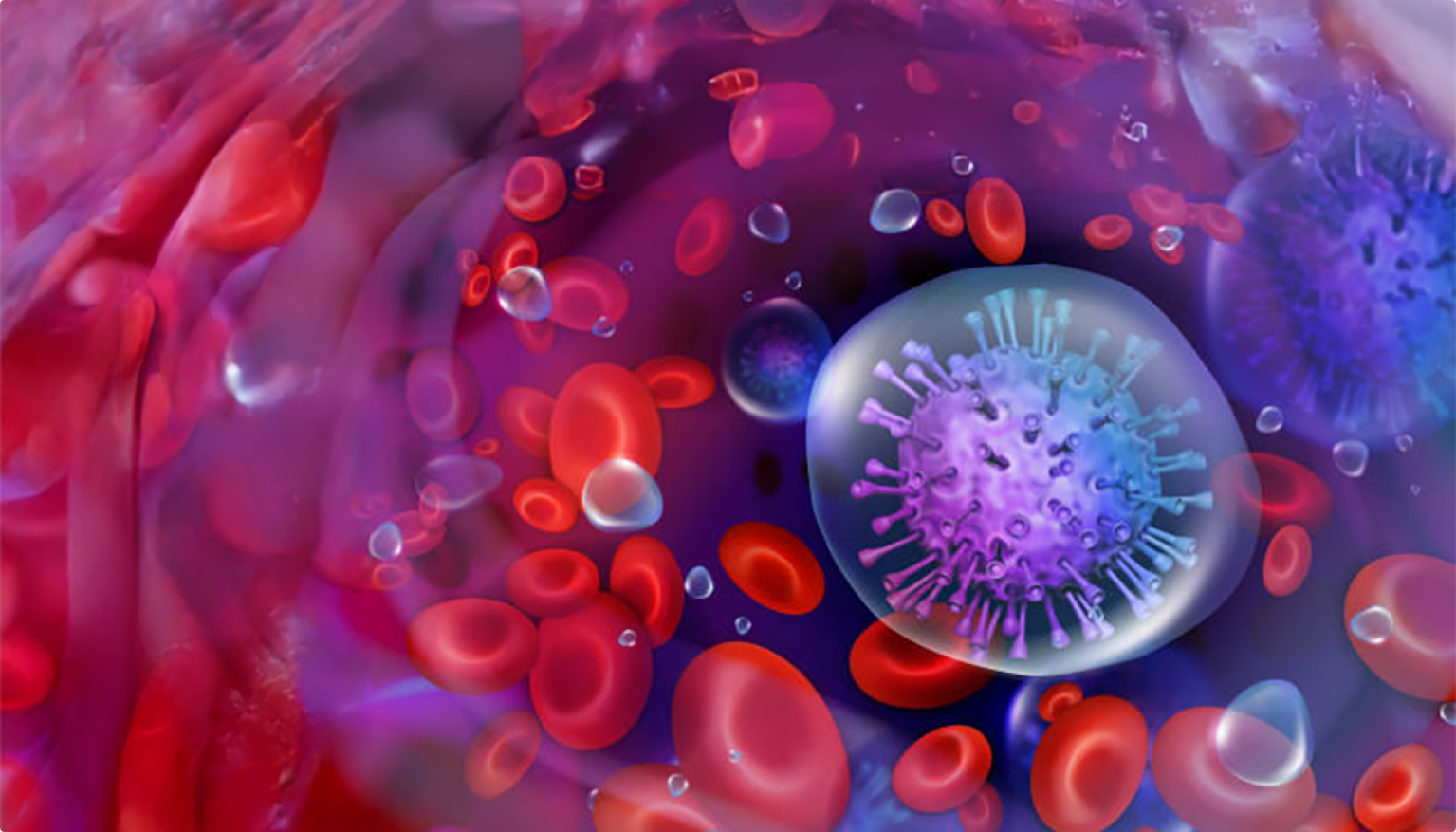A photo of  purple virus among blood cells