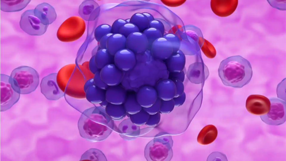 A photo illustration depicting red blood cells alongside sticky blue spheres to represent lymphoma.