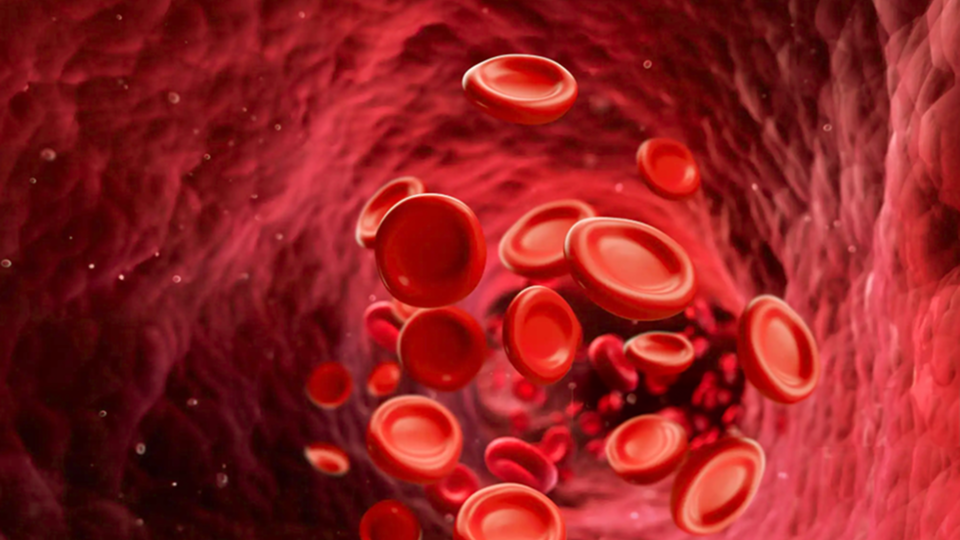 A 3d photo of red of blood cells flowing in arterial vessel