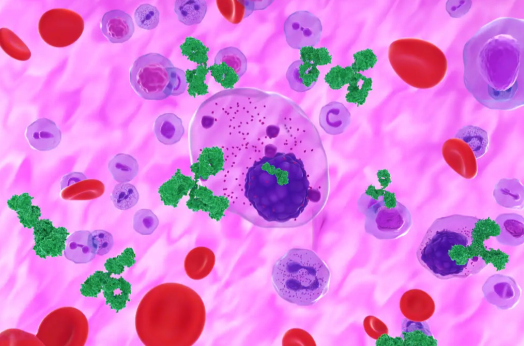 Myeloma_Red_Blood_Cells