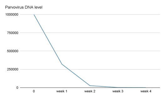 Figure 1 Parvovirus DNA trend