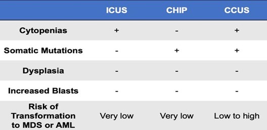 Distinguishing characteristics of myeloid precursor conditions
