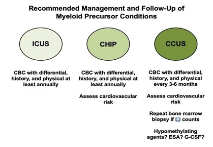 Follow-up and Management of Patients With Myeloid Precursor Conditions
