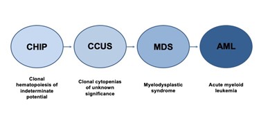 Stepwise Progression of Myeloid Precursor Conditions to Acute Myeloid Leukemia