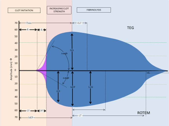 Superimposed representative graphs and parameters for TEG and ROTEM