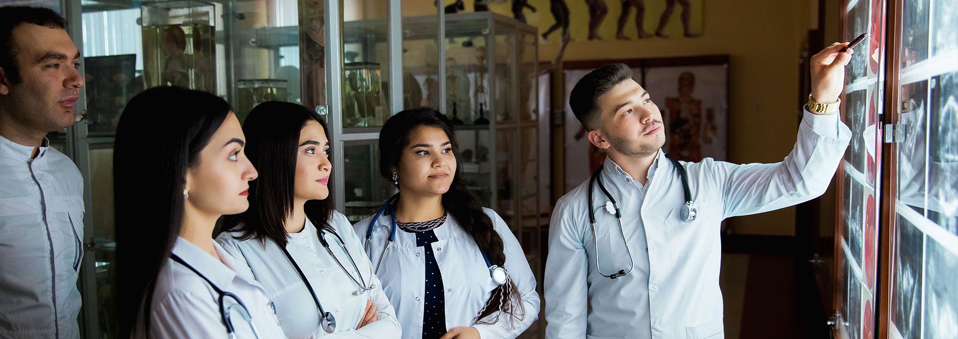 Hematologist Analysis