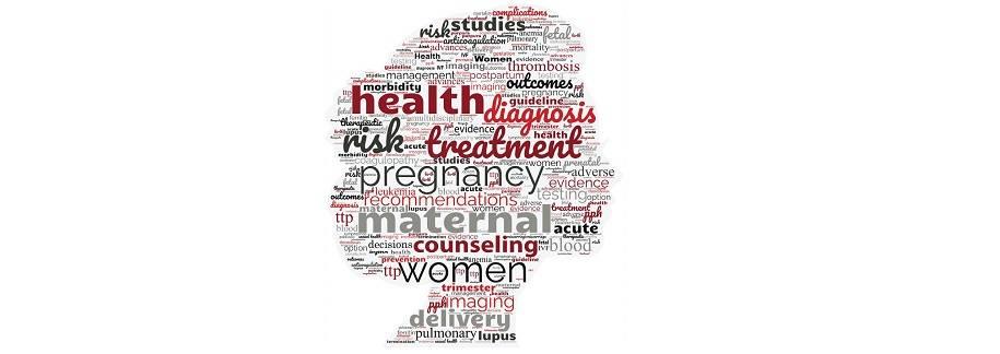 Maternal Health Word Cloud