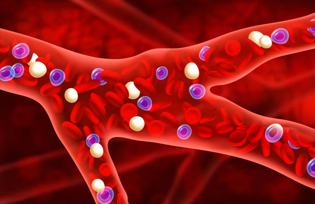 Bloodstream_2025_Web_1223x793px