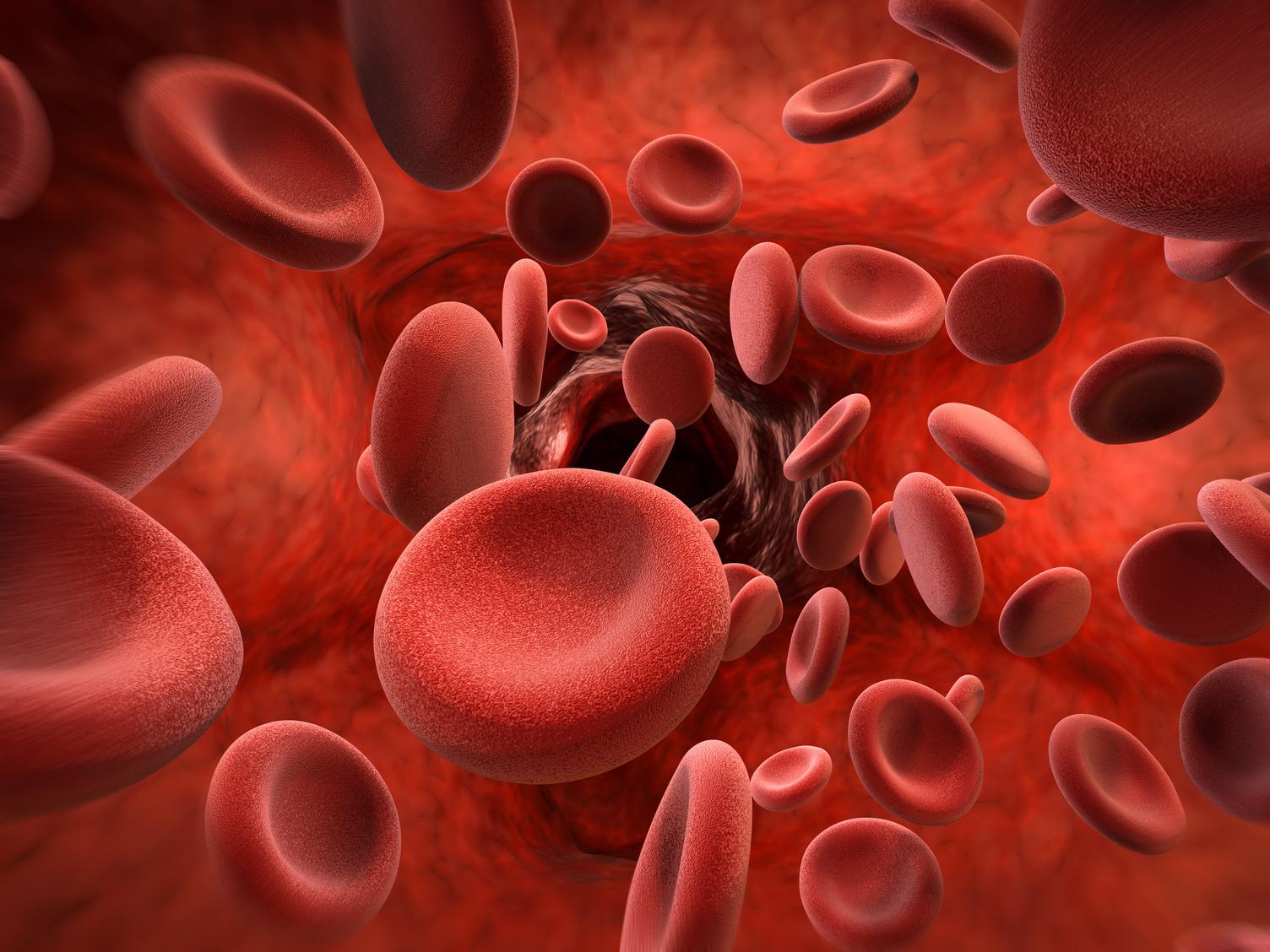 blood cells iStock-641133986