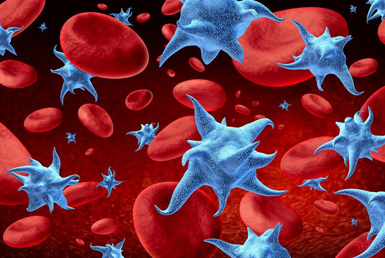 Platelets_in-the-blood_cells_2025_web_786x528